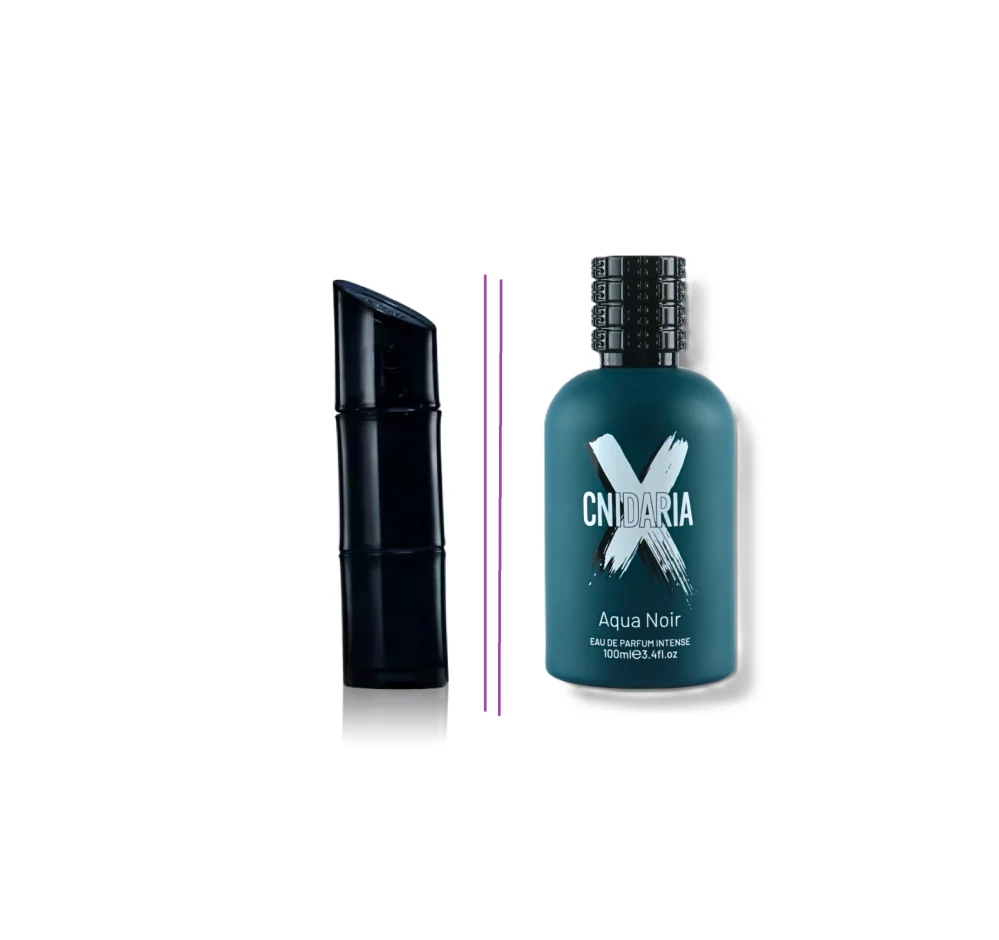 Samam Cnidaria X Aqua Noir EDP Intense