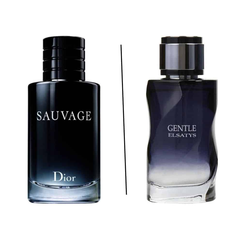Gentle Elsatys by Reyane Tradition 100ml-178ml