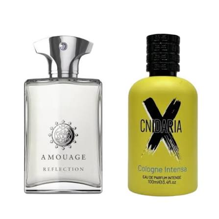 Cnidaria X Cologne Intense بديله الاصلي: Amouage Reflection 45 Man Extrait